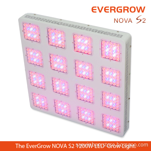 2014 Evergrow New Modular LED Grow Light for Greenhouse and Medicine